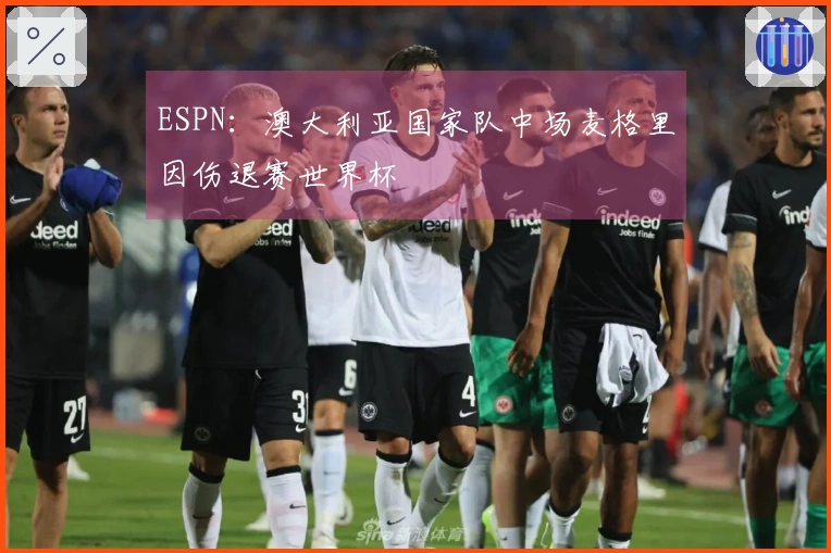 ESPN：澳大利亚国家队中场麦格里因伤退赛世界杯