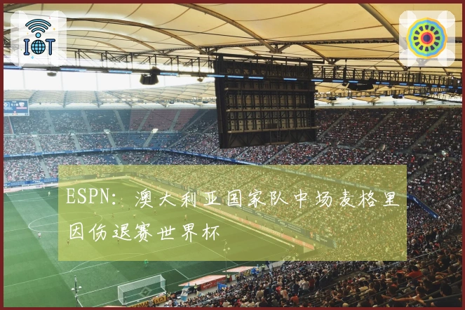 ESPN：澳大利亚国家队中场麦格里因伤退赛世界杯